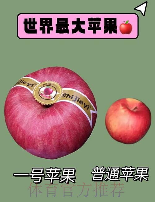 世界杯滚球苹果 世界杯滚球苹果